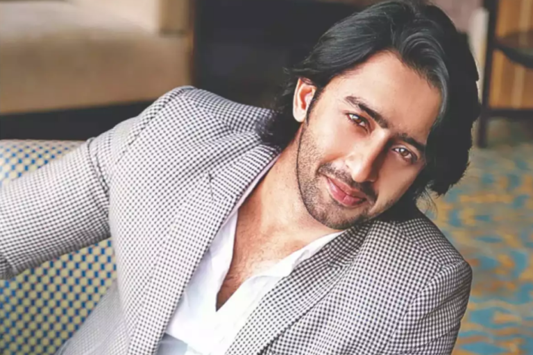 Shaheer Sheikh Net Worth: A Glimpse into the Accomplished Actor’s Financial Success
