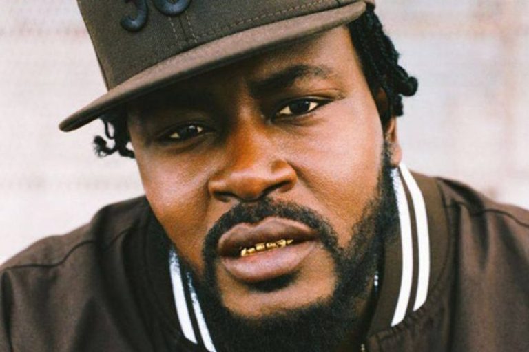 Trick Daddy Net Worth: A Look into His Wealth